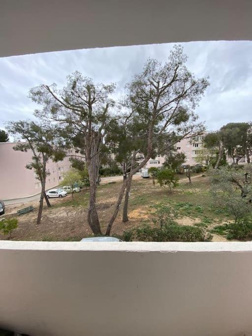 T3 La Ciotat Plage מראה חיצוני תמונה
